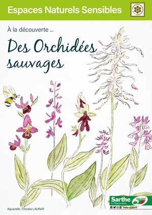 Livret Orchidées