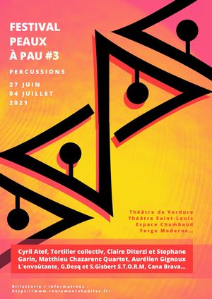 Programme Festival Peaux à Pau
