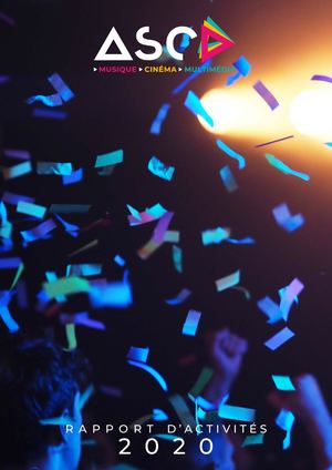 Rapport d'activité 2020