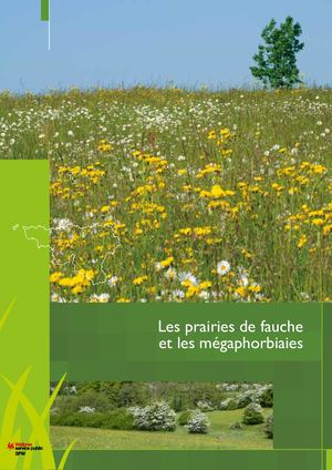 Les Habitats d'Intérêt Communautaire en Wallonie. Les prairies de fauche et les mégaphorbiaies