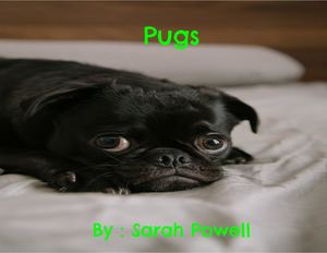 Sarah Powell - 2nd Grade Nonfiction Book Project FINAL COPY