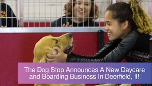 The Dog Stop® Announces A New All-inclusive Dog Care Business In Deerfield, Il!