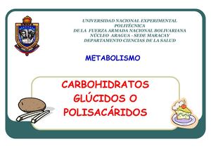 Clase Metabolismo de Carbohidratos