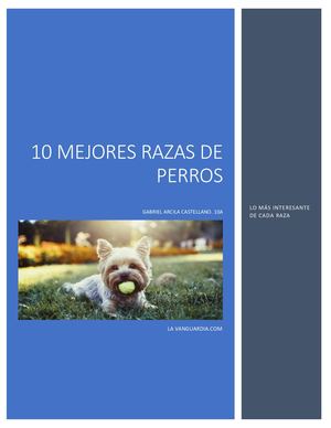 Diez Mejores Razas De Perros, Gabriel Arcila, 10°a