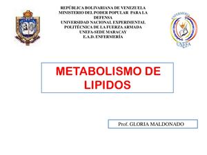 Metabolismo de Lipidos