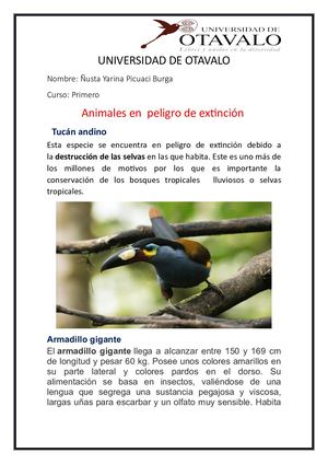 Animales En Peligro de extinción
