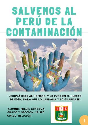 SALVEMOS AL PERU DE LA CONTAMINACION