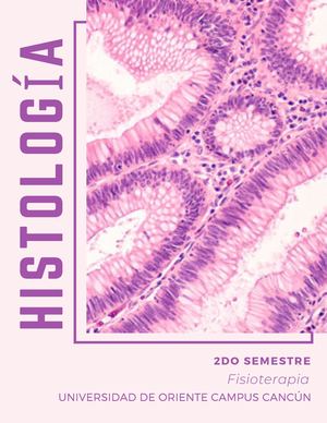 Histología 2do Semestre