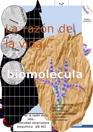 Revista Biomoleculas