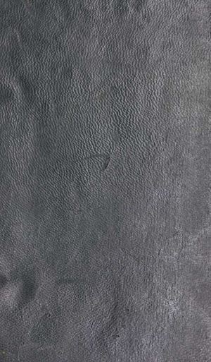 Carlotti Regolo, Poesie Di Alcuni Moderni Autori Corsi