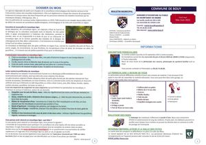 Bulletin Municipal Bouy - Mai Juin 2021
