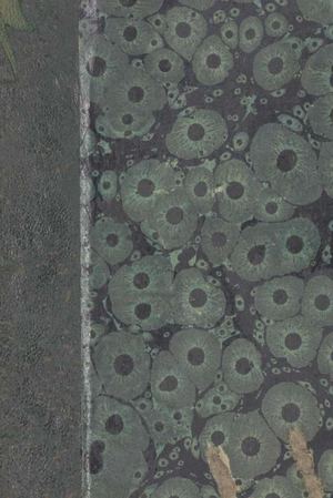 Marcaggi Jean-Baptiste, Les Chants De La Mort Et De La Vendetta