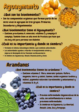 Alimentos De La Costa Sierra Y Serlva Del Perú