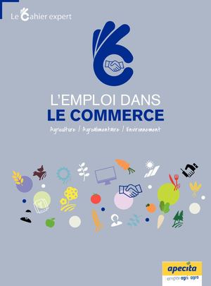 Cahier Expert Commerce