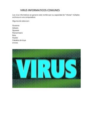 Virus Informaticos Comunes Tarea No 2 B3