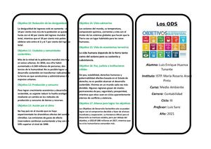 Triptico Medio Ambiente