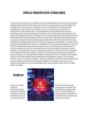 Virus Inmaticos Comunes