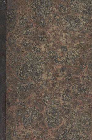 Salvatore Viale, Dionomachia