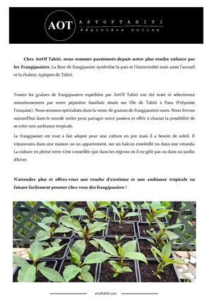 Graines De Frangipanier Artof Tahiti 2021