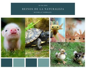 Verte Naturaleza Panel De Tendencias Foto Collage