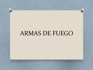 Armas De Fuego I