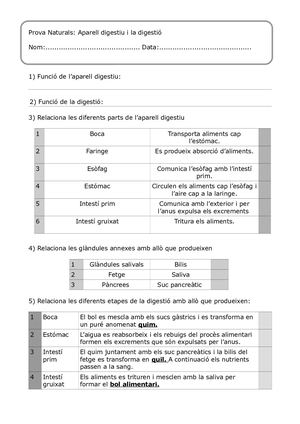 Prova Aparell Digestiu I Digestió.