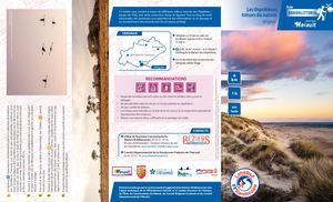 Randolittoral les Orpellières, trésor de nature