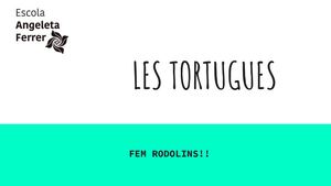 RODOLINS. LA CLASSE DE LES TORTUGUES