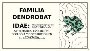 Trabajo De Los Tipos Ranas Venenosas En Colombia Por Simón Restrepo