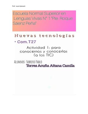 Version Individual Nt