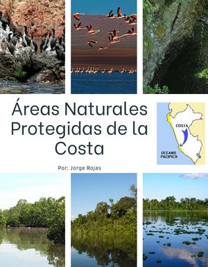 Jorge Rojas 3°b ÁReas Naturales Protegidas Del Costa