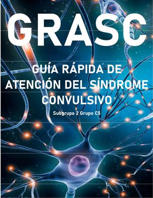 Grasc Proyecto Ec Subgrupo 2 Grupo C5