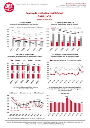Cuadro Sociolaboral Nº22 Junio 2021.