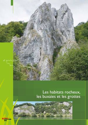 Les Habitats d'Intérêt Communautaire en Wallonie. Les habitats rocheux, les buxaies et les grottes