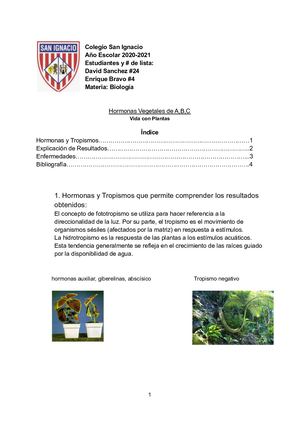 Revista De Hormonas Vegetales