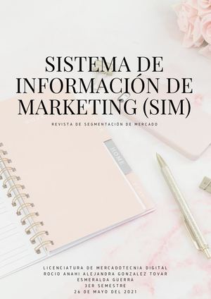 Sistema De Información De Marketing (Sim)