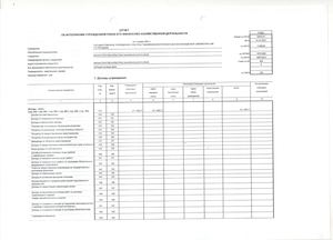Отчет об исполнении учреждением плана ФХД за 2020 г 737 5