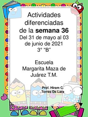 Cuadernillo De Actividades Diferenciadas