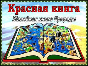Жалобная книга природы