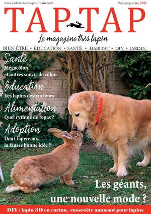 TAP-TAP PRINTEMPS ETE 2021