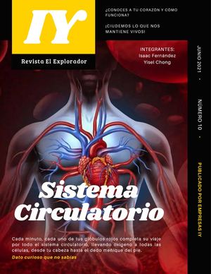 Sistema Circulatorio