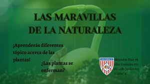 Las Maravillas De La Naturaleza
