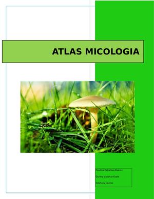 Atlas Micologia