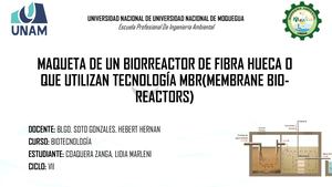 Maqueta De Un Biorreactor De Fibra Hueca O