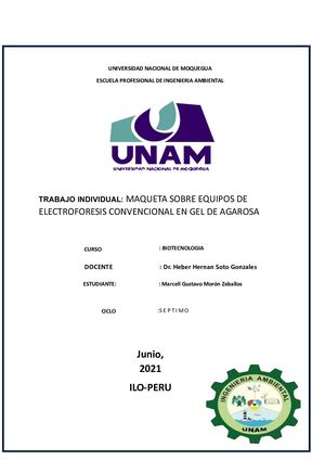 TRABAJO INDIVIDUAL: MAQUETA SOBRE EQUIPOS DE ELECTROFORESIS CONVENCIONAL EN GEL DE AGAROSA