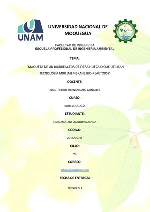 Informe-Maqueta De Un Biorreactor De Fibra Hueca O Que Utilizan Tecnología MBR (Membrane Bio-Reactors)