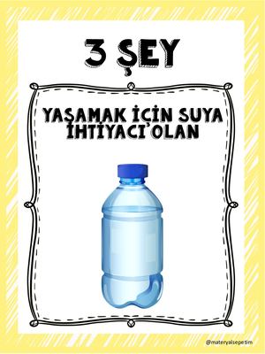 3 Şey Oyunu Ms