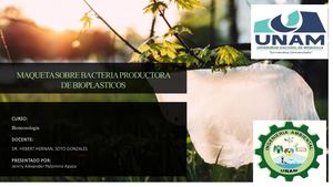 Diapositiva De Maqueta Bacteria Productora De Bioplasticos