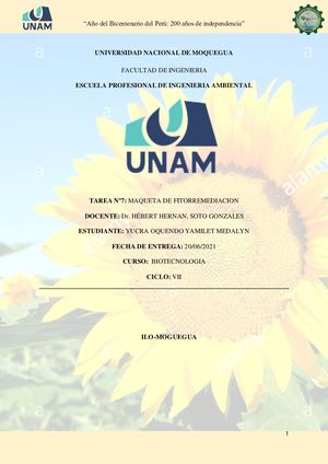 Maqueta De Fitorremediacion