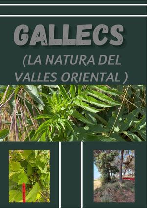 Iris, Sofía I Ainara Gallecs